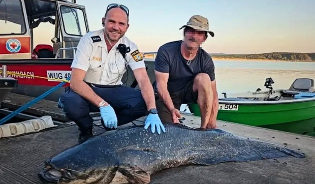 Som u Nemačkoj, ilustracija