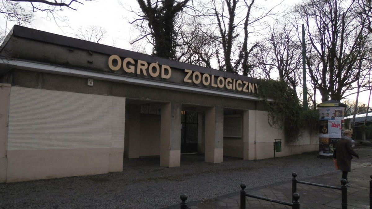 Powiatowy lekarz weterynarii ma zastrzeżenia do poznańskiego zoo i uważa, że powinno stracić status jednostki zatwierdzonej. Gdyby tak się stało, zoo nie mogłoby brać udziału w swobodnej wymianie zwierząt z innymi ogrodami zoologicznymi o takim statusie.