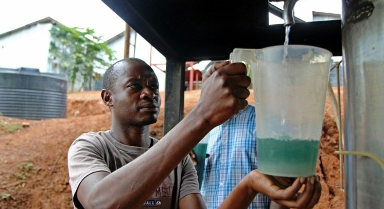 Rwanda last year exported around 14 tonnes of essential oils -- geranium, moringa, patchouli and tagetes -- bringing in $473,000, according to the National Agricultural Export Development Board.