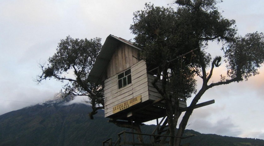 La Casa Del Arbol