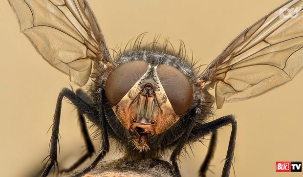 sorti_muva_vesti_blic_safe_sto