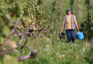 Koszty zatrudniania cudzoziemców rosną. Polskie firmy otworzą się na rodzimą siłę roboczą?
