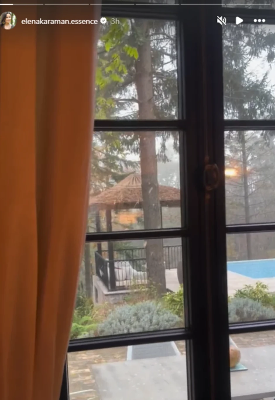 Elena Karaman, objava