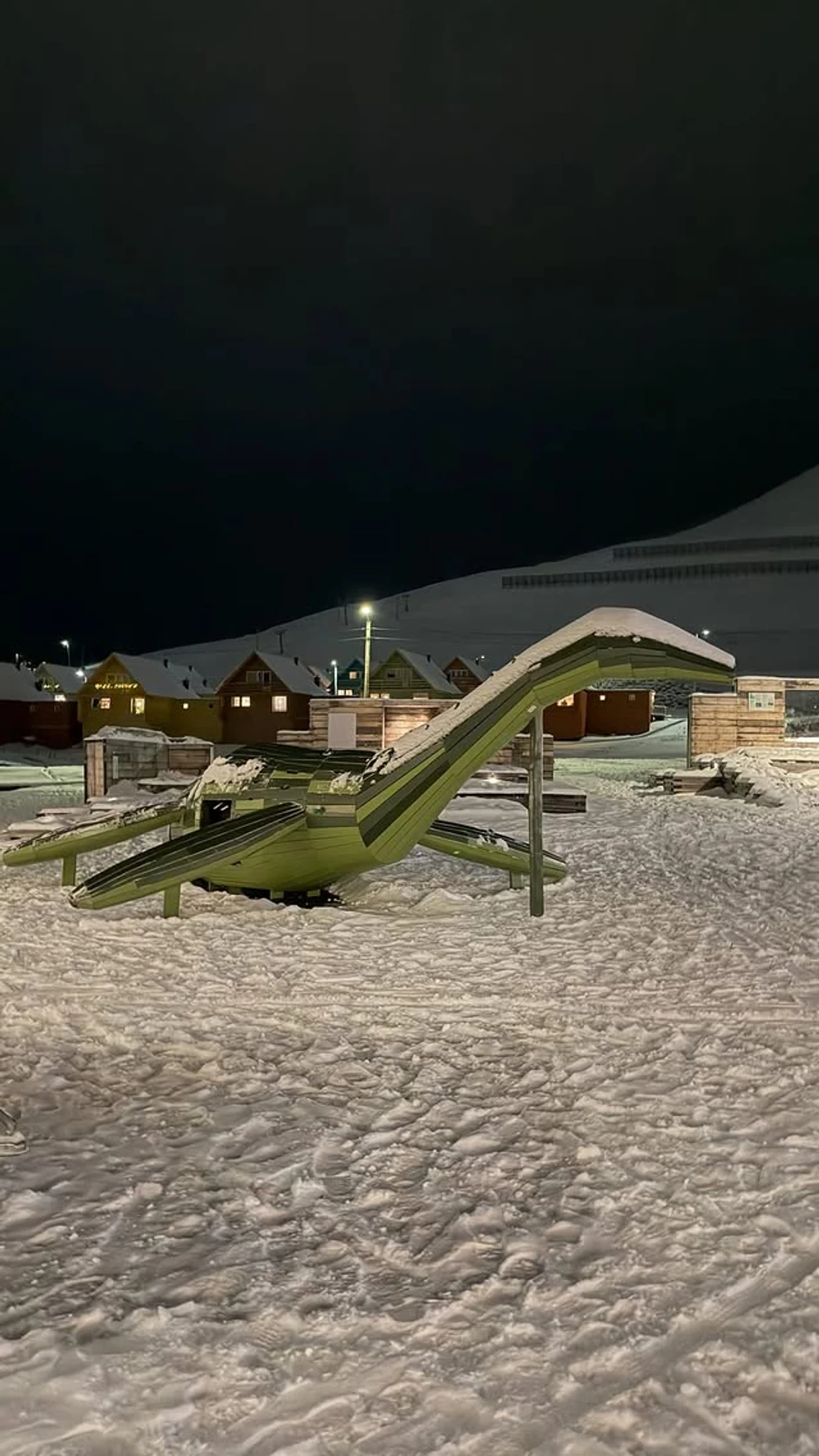 Ana Stanić u Norveškoj