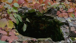 Zgłosisz się dobrowolnie? Może Cię ominąć kara 60 000 zł