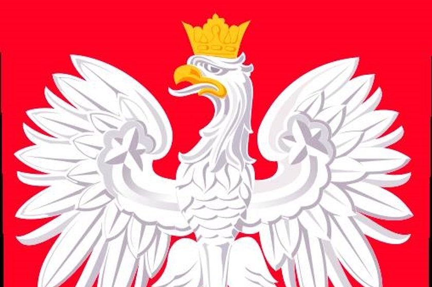 Co Spowodowalo Ze Herbem Polski Jest Orzel Na Czerwonym Tle Polska będzie mieć nowe godło! Co się stanie z orłem?
