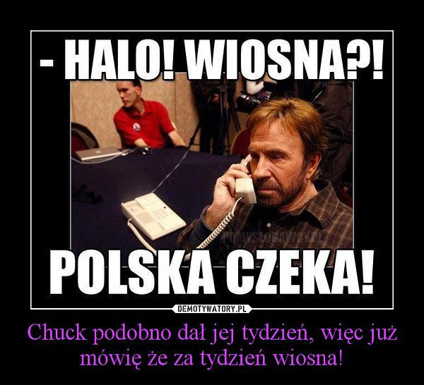 Chuck Norris kończy 80 lat - najlepsze memy