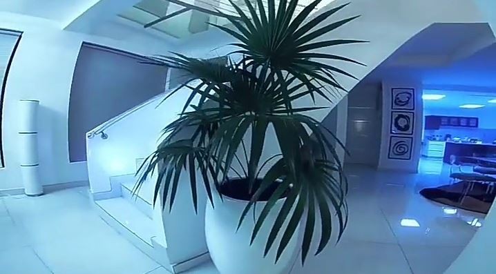 AY's mansion is indeed breathtaking  