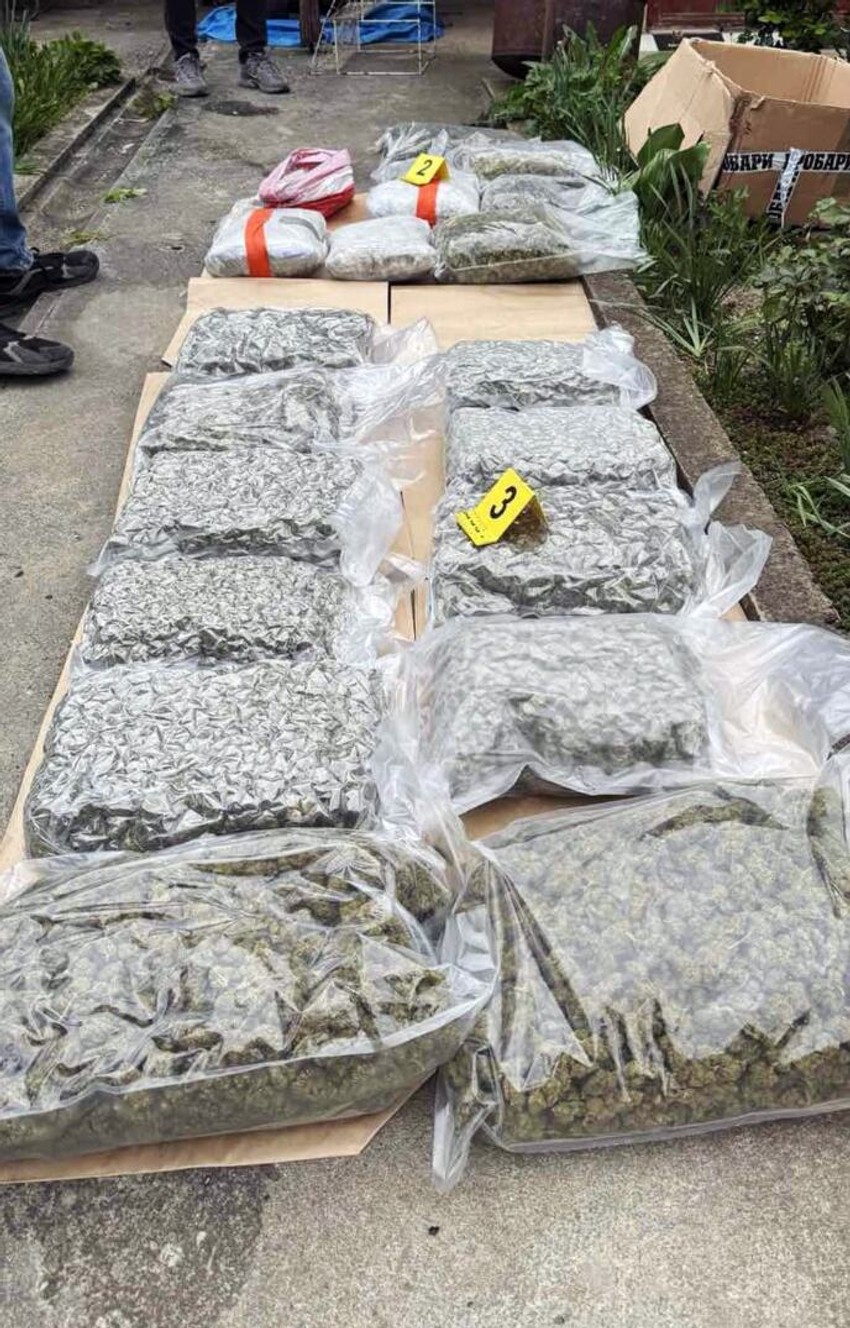Zaplenjena marihuana u Kikindi