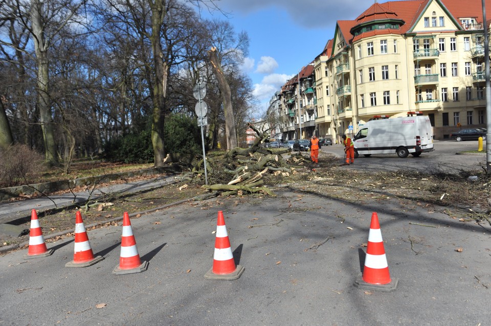 Usuwanie skutków wichury, która przeszła przez woj. zachodniopomorskie