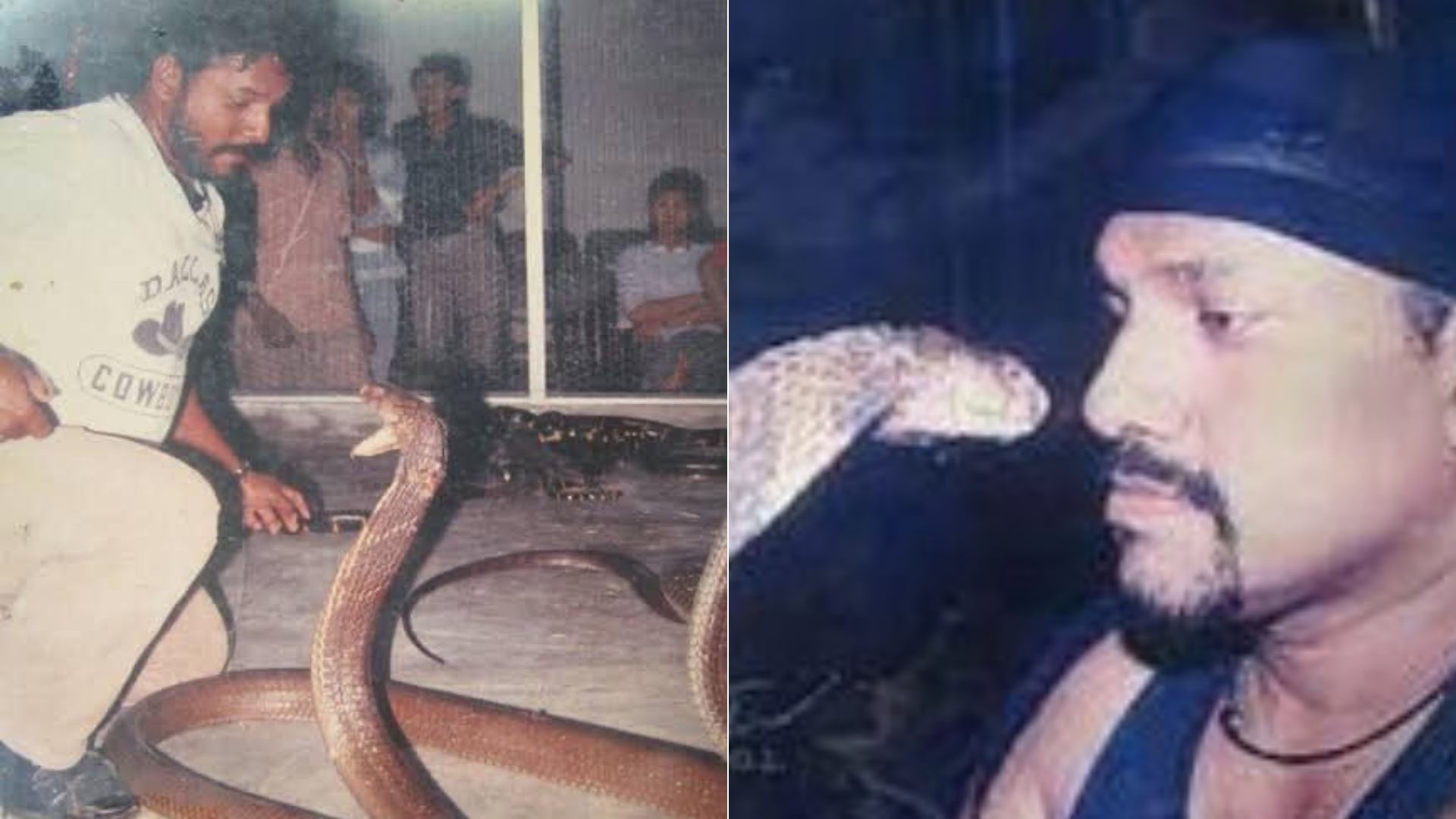 Zavrel sa do miestnosti so 400 kobrami.