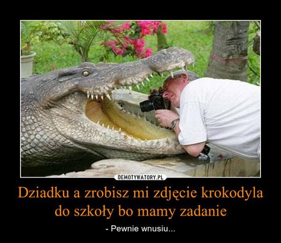 Najlepsze memy o babci i dziadku z okazji ich święta