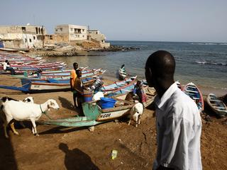 Jedną z podstaw gospodarki Senegalu jest rybołówstwo