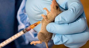 Edo Reports 240 Lassa Fever Cases and 21 Deaths in 4 Months – Director