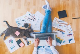 Kotek i myszka (komputerowa). Kto się boi pracy zdalnej: Pracownik czy pracodawca?