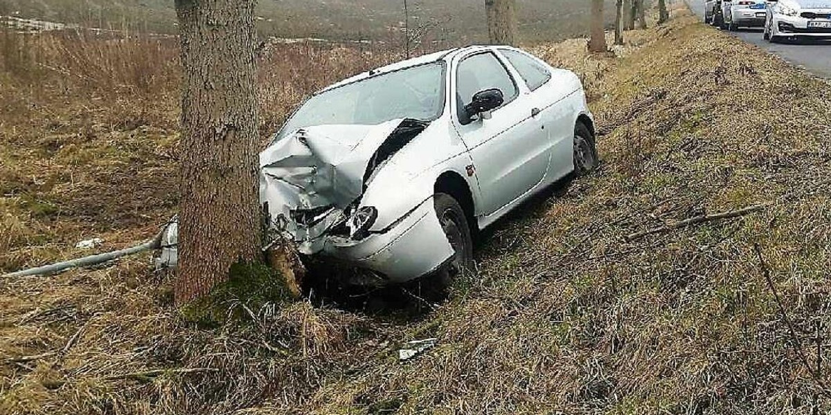 Wjechał w drzewo w miejscowości Gałkówek Parcela. Nie żyje 63-latek 