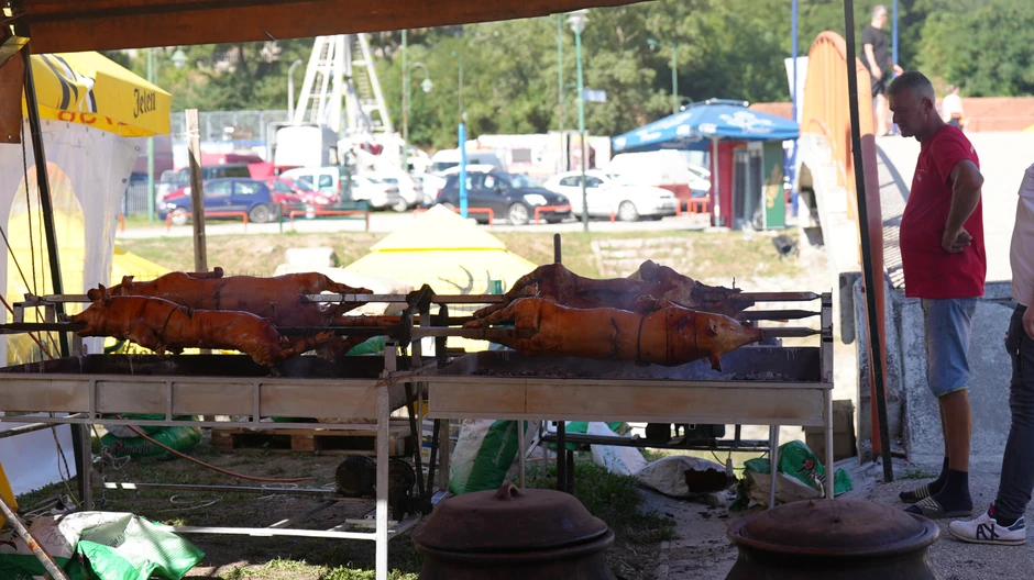 cene na Saboru trubača u Guči