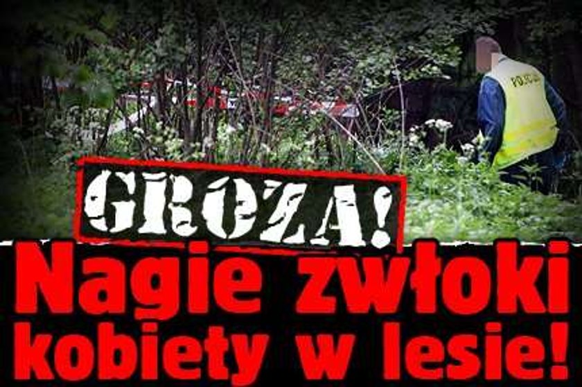 Groza! Nagie zwłoki kobiety w lesie!