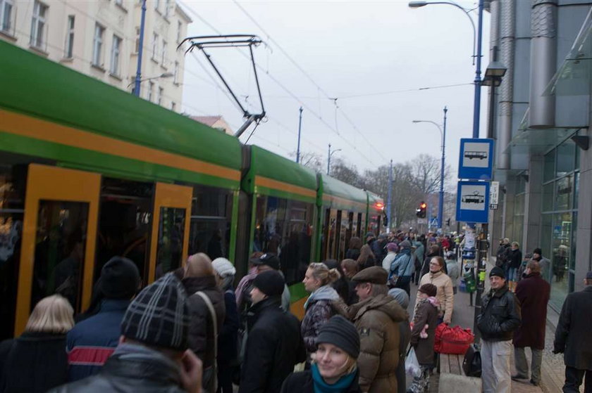 Pomysły urzędników: ścieżki dla koni zamiast chodników