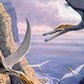 Flying pterosaurs