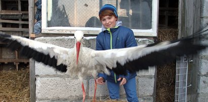 Kamil uratował bociana Stefana