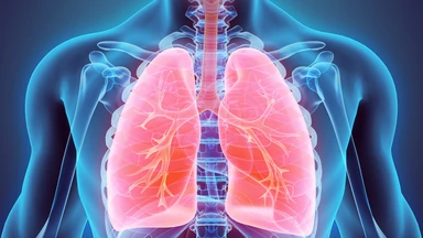 Płuca - naturalny filtr chroniący przed wirusami i zanieczyszczeniami. Co musisz o nich wiedzieć?