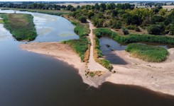 Ichtiolog: Zatrucie dotyczy nie tylko ryb. Odbudowa populacji to kwestia wielu lat