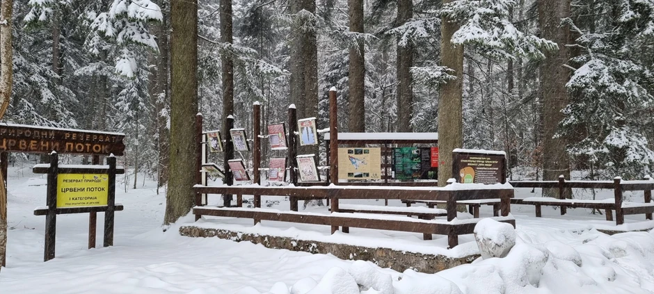 Na Tari visina snega je 30 centimetara