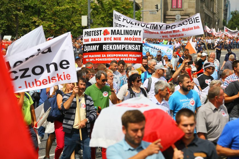 Protest rolników