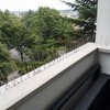 Zaštita od ptica na balkonu