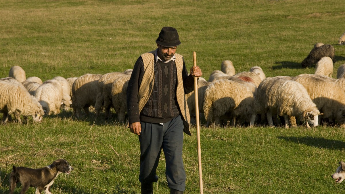 Muškarac sa sela - ilustracija