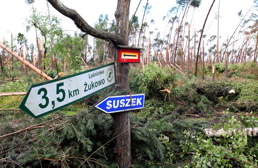 Tragedia po tornado w Suszku. Sąd Okręgowy w Łodzi zdecyduje, czy proces w sprawie śmierci harcerek powinien się toczyć od nowa