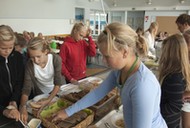 Finnland - Win Aaltonen Schule in Turku