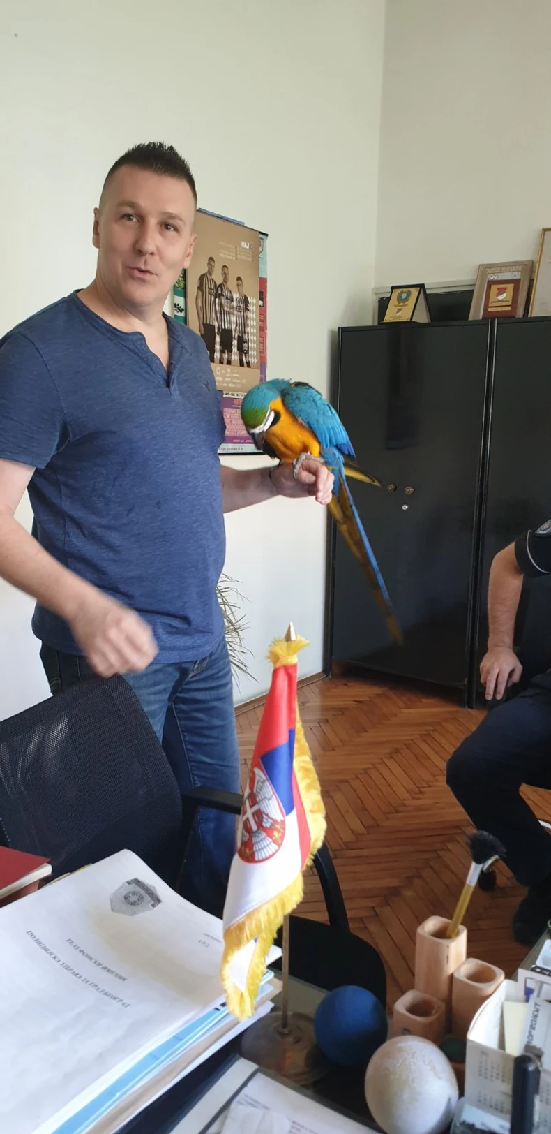 Papagaj sa vlasnikom