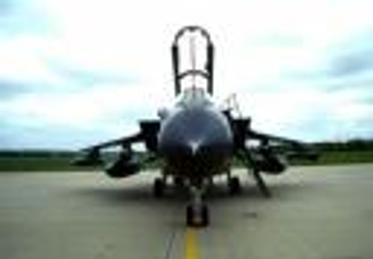 F16. Polski jastrząb