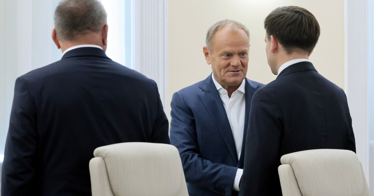 Rząd Tuska planuje rekordowe dywidendy w 2026 r. Szczególnie liczy na jeden sektor