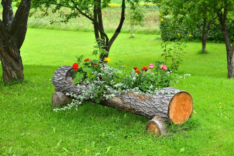 Donica z pnia drzewa - trend 202