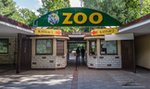 Szokujący wpis na profilu poznańskiego ZOO. Kto za tym stoi?