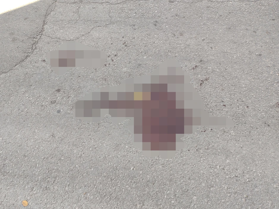 Mesto udesa u Ulici 7.jula u Nišu gde je automobil pokosio muškarca sa prostora Kosova i Metohije