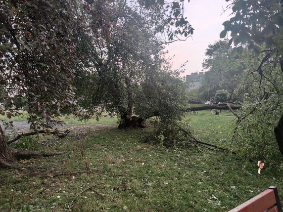 Nawałnica spustoszyła Osiedle Podwawelskie