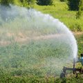 Obszar upraw dotkniętych suszą równy powierzchni Podlasia. Rząd szykuje wypłaty