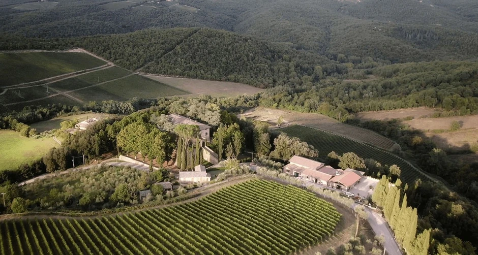 Jedan od vinograda Dmitrija Medvedeva