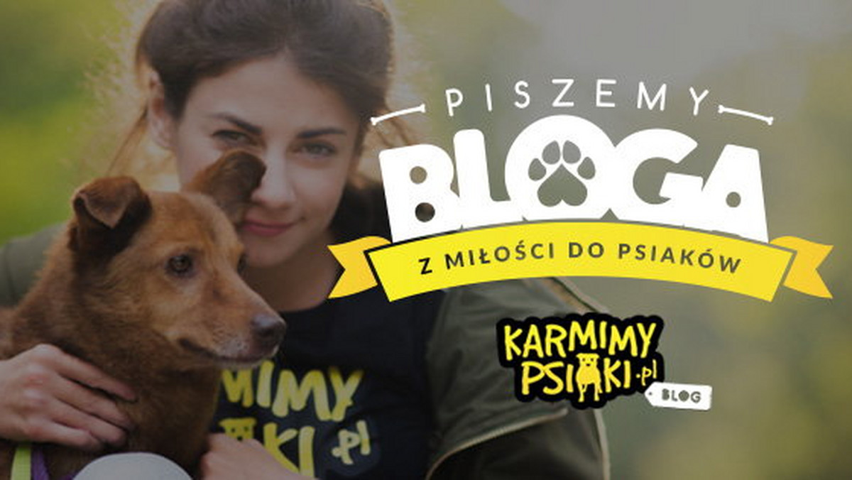 Największa w Polsce akcja pomocy bezdomnym zwierzętom rusza z własnym blogiem. Autorzy zapowiadają, że strona ma przede wszystkim edukować ludzi w zakresie odpowiedzialnych adopcji oraz właściwego traktowania zwierząt. Treści będą pokazane w ciekawy, nowoczesny sposób z wykorzystaniem potencjału social media.