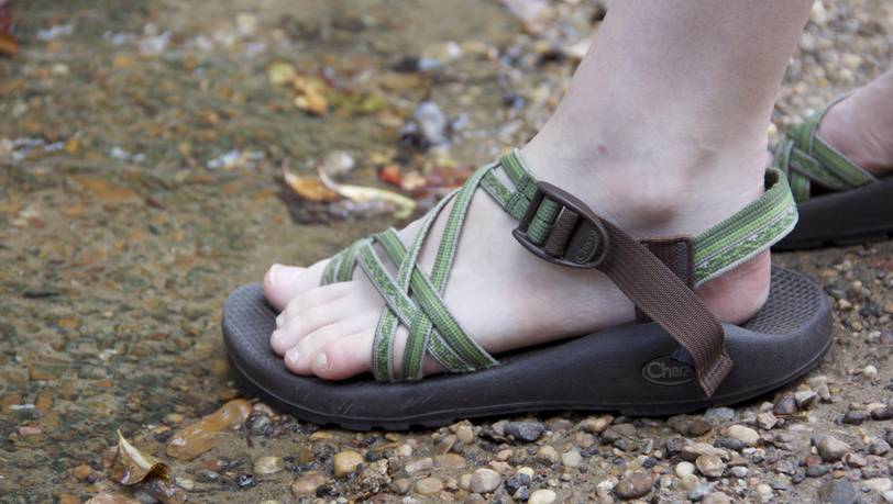 Die beliebtesten Outdoor-Sandalen für Damen im Vergleich