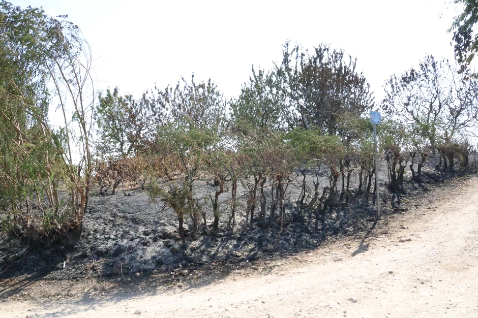 Posledice požara u Srbiji