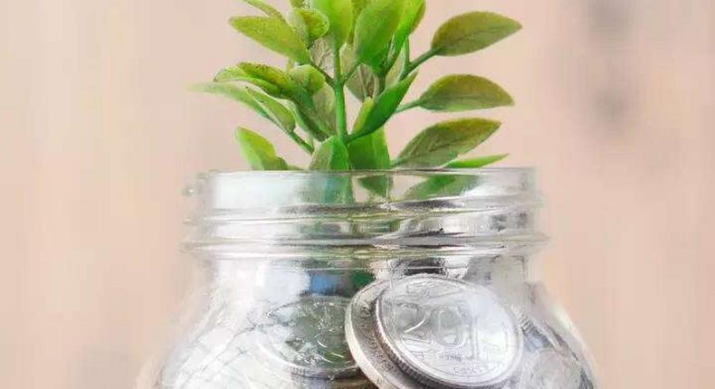Plants that bring wealth and luck [Indiatimes]