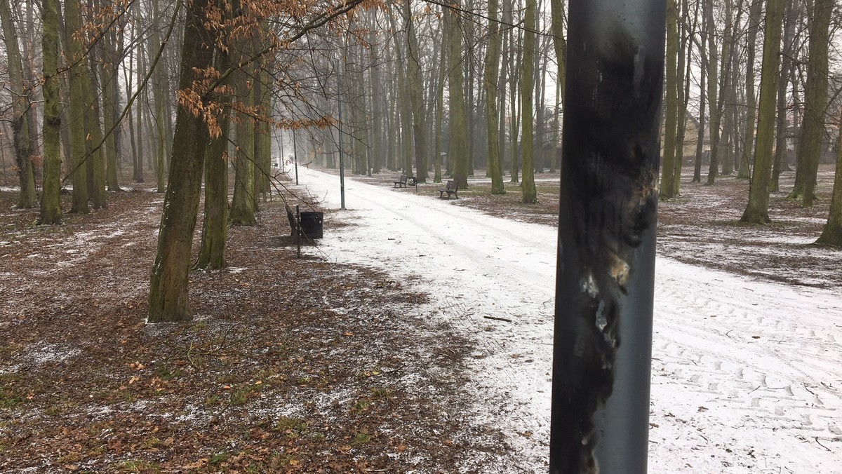 Po tym, jak ktoś podpalił nowe latarnie w parku Grabiszyńskim wzdłuż alei Romera, inwestycja może się opóźnić nawet o osiem tygodni. Spalone lampy trzeba wymienić na nowe. Sprawcy lub sprawców, którzy zniszczyli lampy, cały czas szuka policja.