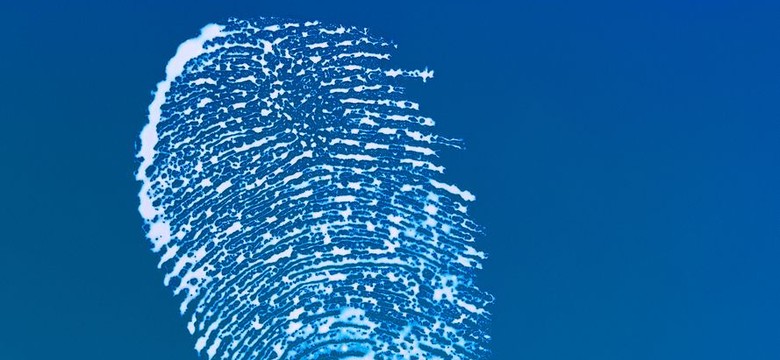 Ta branża kwitnie. Otwierają nawet specjalny kierunek studiów
