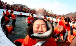 Fotoreporter wykazał się refleksem! ZDJĘCIA 2014 roku zrobione w najlepszym momencie