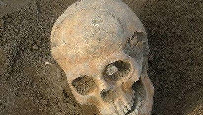Elit hun koponyáját találták meg Erdélyben